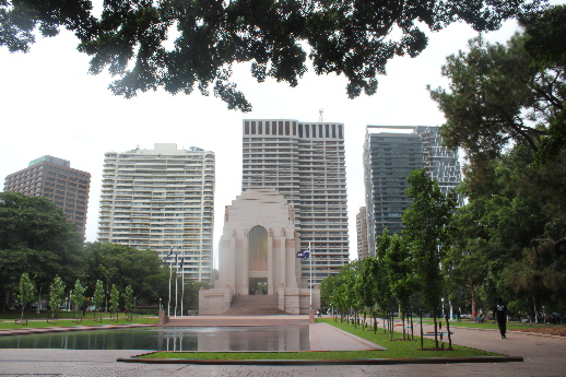 1141.jpg